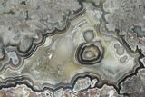 Polished Crazy Lace Agate Slab - Mexico #141198-1